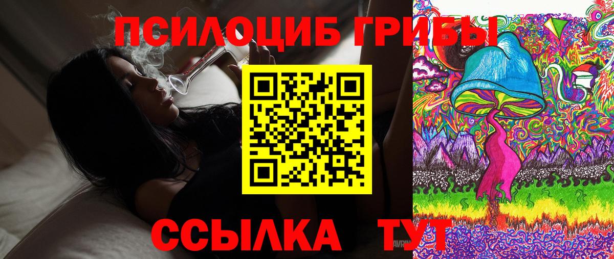 Галлюциногенные грибы Magic Shrooms Новокузнецк
