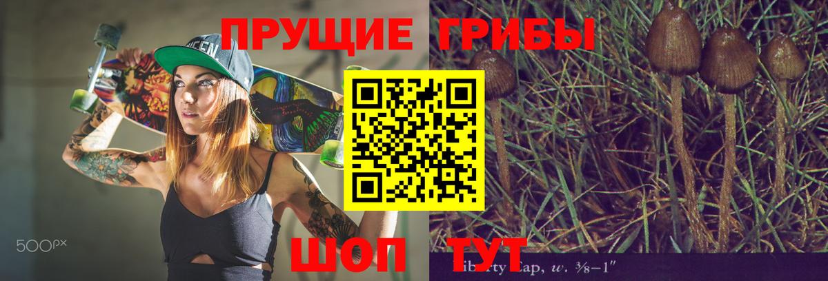 Псилоцибиновые грибы мухоморы  Вход с VPN  Новокузнецк 